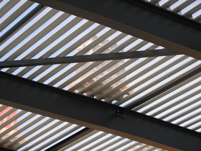 IMG_5273 (Medium).JPG